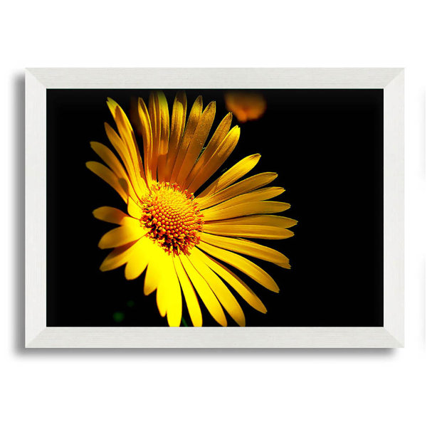 Brayden Studio Golden Daisy Petals Single Picture Frame Art Prints